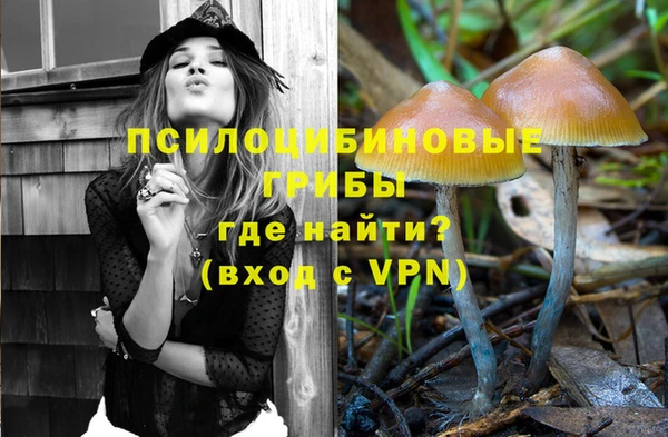 стаф Абаза