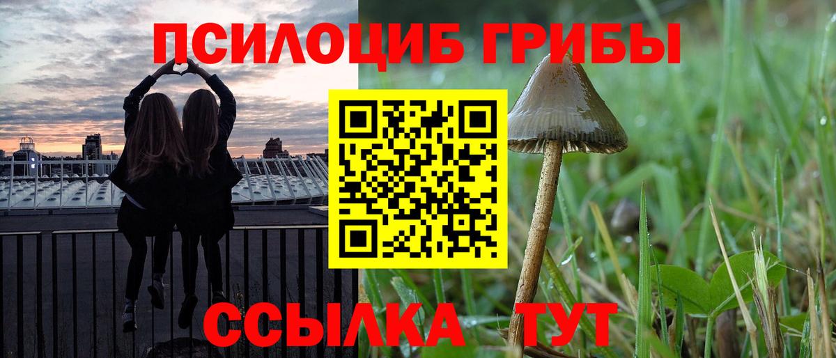 Псилоцибиновые грибы Psilocybine cubensis Клинцы