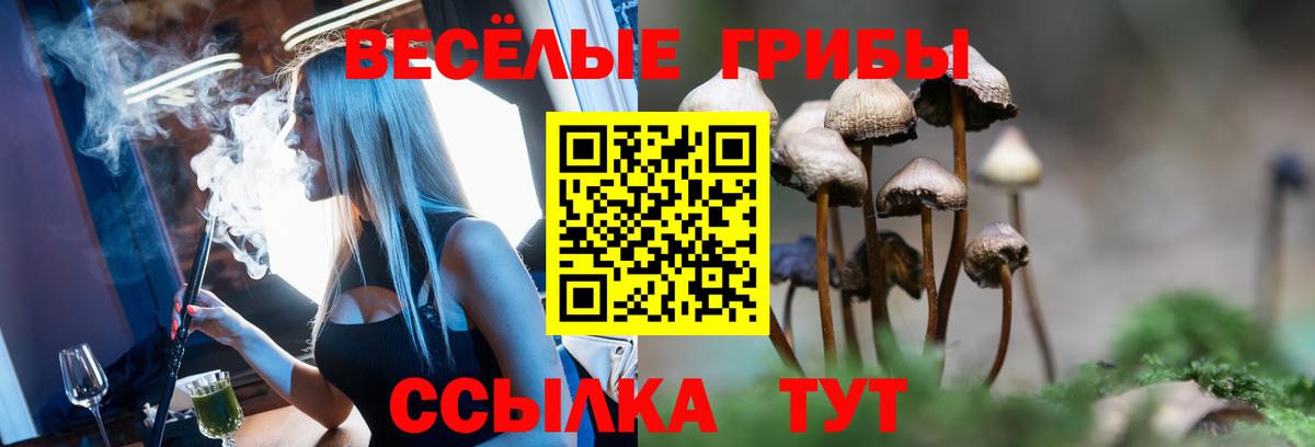 Галлюциногенные грибы MAGIC MUSHROOMS  Псилоцибиновые грибы ЛСД  Клинцы  Вход с VPN 